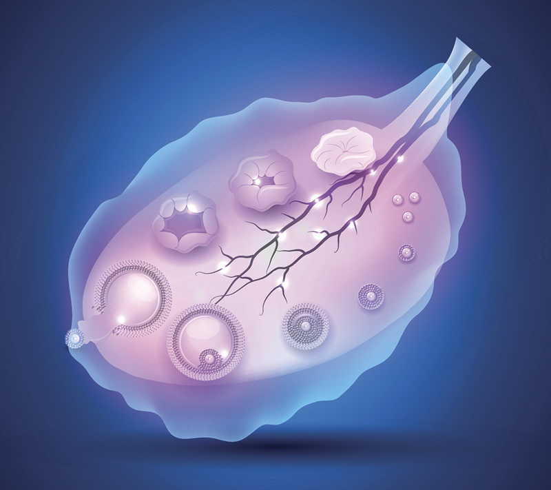 三代试管婴儿哪家医院比较好？